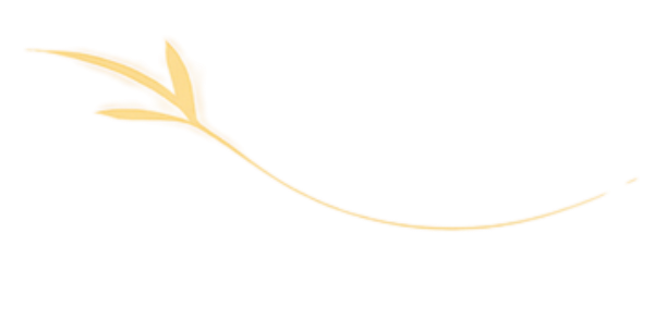 untitled design 2025 11 03t164313.610